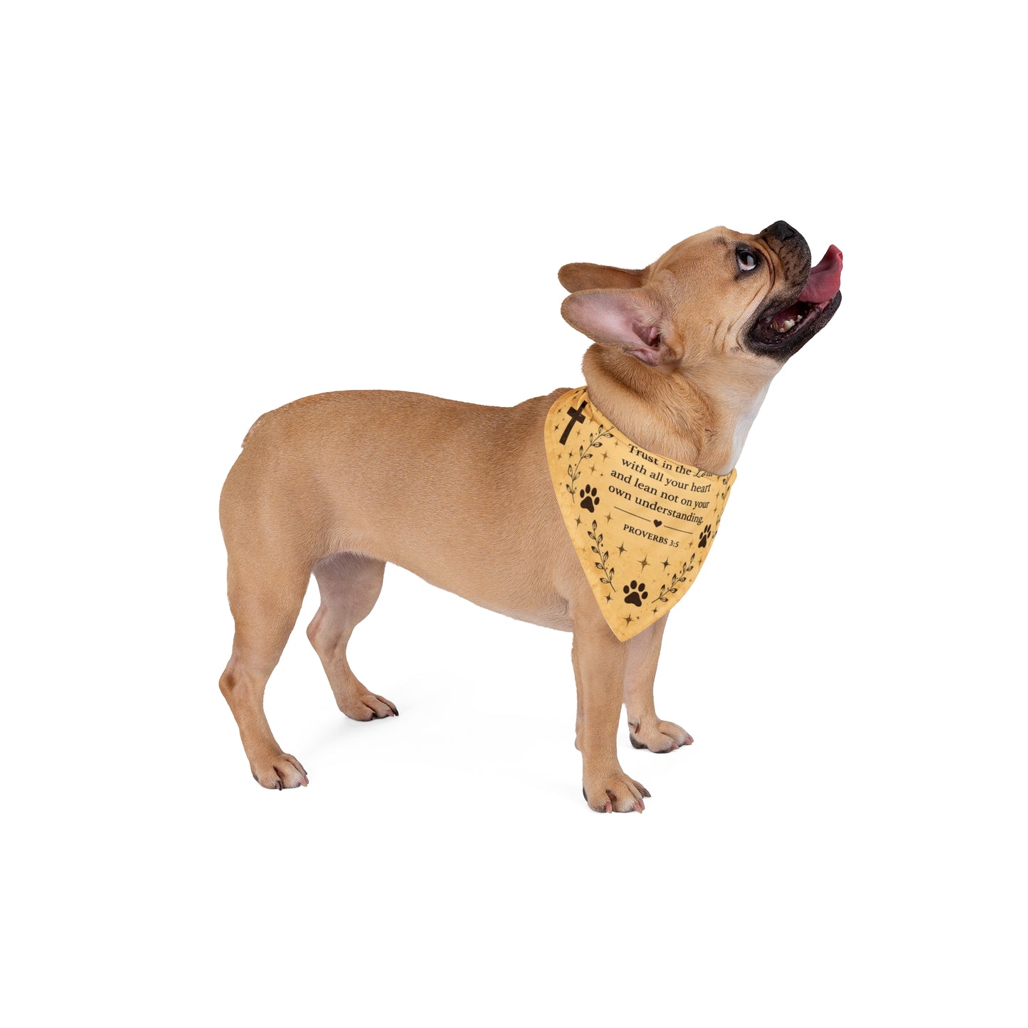 Christian Pet Bandana — Proverbs 3:5 Paw Print Crosses Dog & Cat Scarf