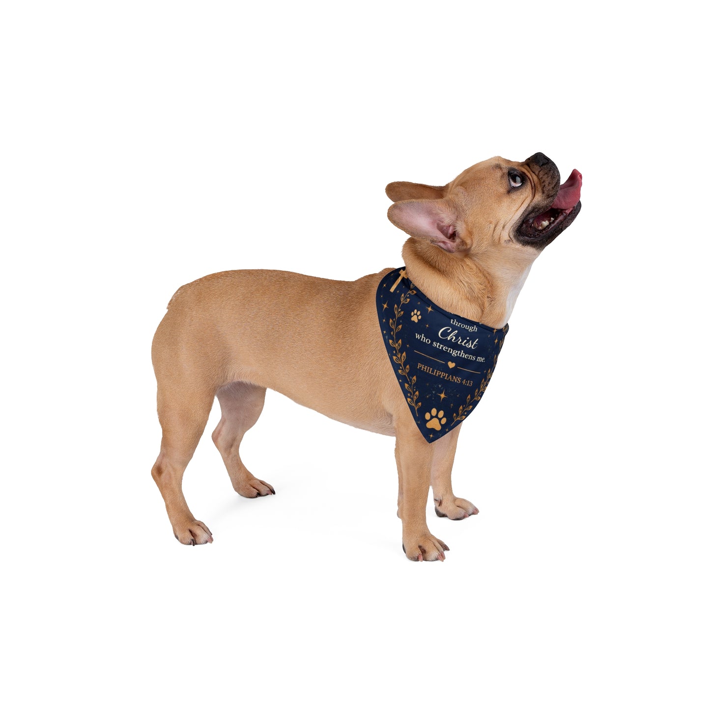 Christian Pet Bandana – "I Can Do All Things Through Christ" Paw Print & Cross Dog Scarf